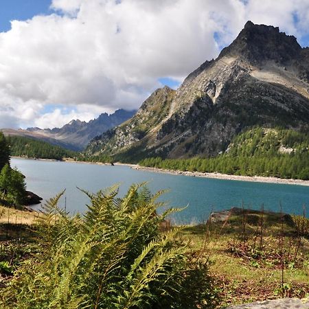 فيلا Casa Vacanza In Tipico Chalet Di Montagna فارزو المظهر الخارجي الصورة