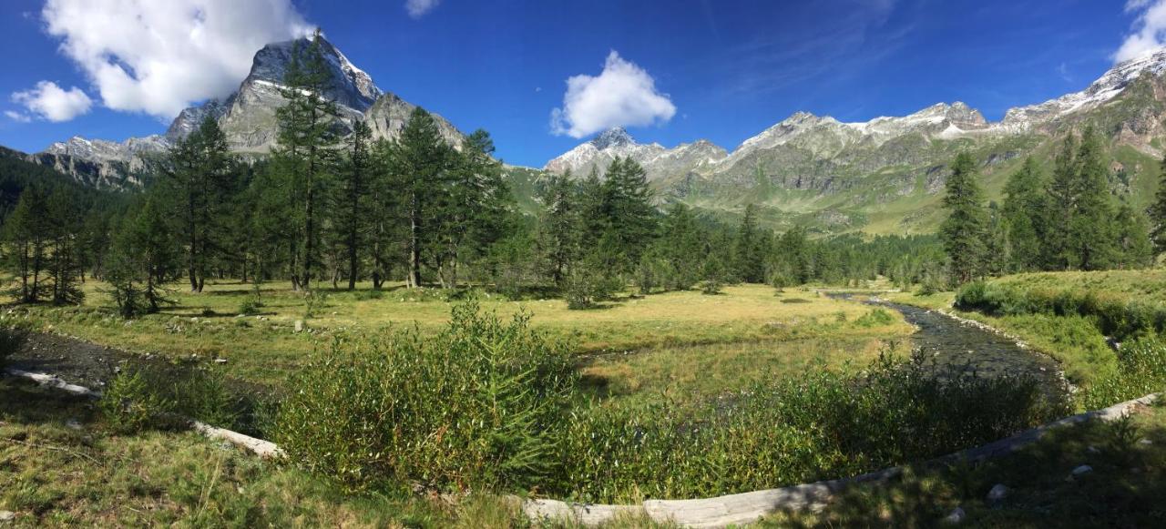 فيلا Casa Vacanza In Tipico Chalet Di Montagna فارزو المظهر الخارجي الصورة