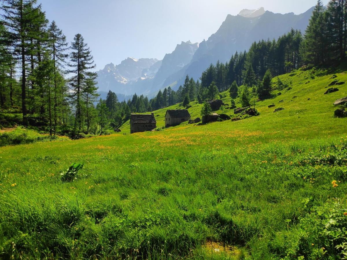 فيلا Casa Vacanza In Tipico Chalet Di Montagna فارزو المظهر الخارجي الصورة